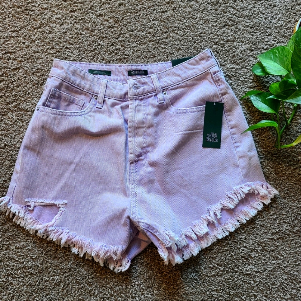 NWT Wild Fable Brand High Waisted Lilac Shorts